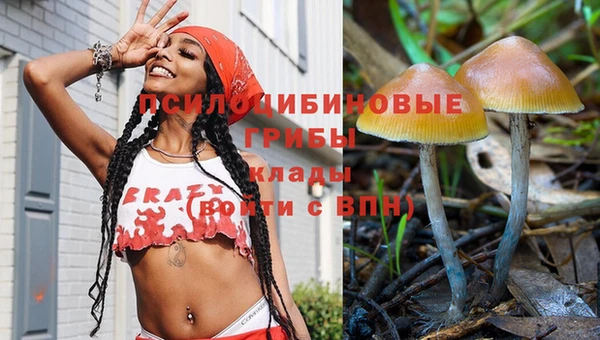 спайс Баксан
